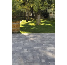 Chemin de jardin pavé avec pelouse et arbres