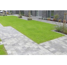 Jardin avec pelouse et pavés