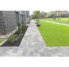 Chemin pavé traversant un jardin avec des pelouses