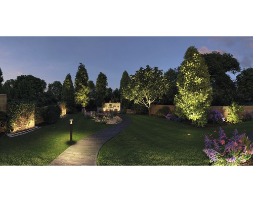 Jardin éclairé avec arbres, fleurs et chemin de pierre