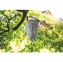 Wespennest-Attrappe WASP AWAY