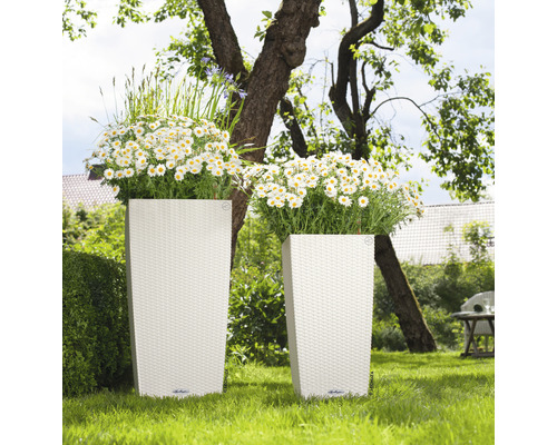 Zwei hohe Pflanzgefäße mit Flechtstruktur und Bepflanzung im Garten.