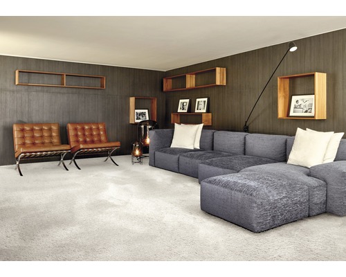 Salon avec canapé, fauteuils, étagères et tapis pour une ambiance chaleureuse