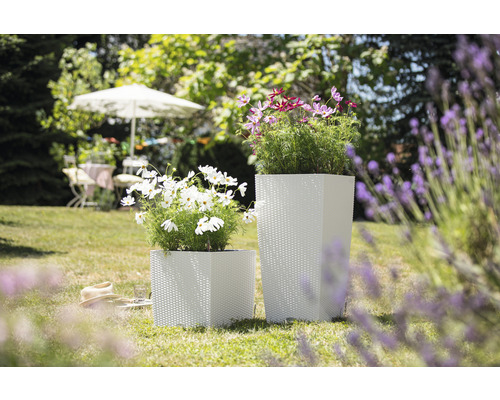 Zwei quadratische Pflanzkübel aus Kunststoff mit Pflanzen im Garten