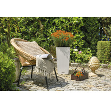 Gartenszene mit Korbsessel, Pflanzgefäß und Dekoration auf Steinboden