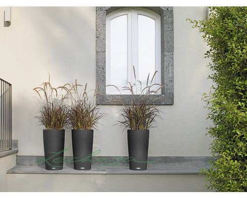 Trois grands pots de fleurs sombres avec des graminées ornementales devant un mur et une fenêtre.