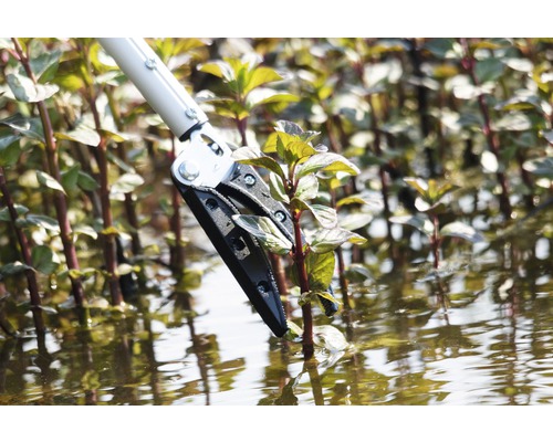 Pince de préhension pour enlever les plantes de l''eau