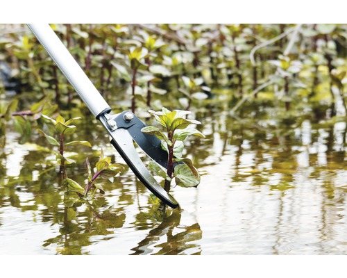 Outil de nettoyage d''étang pour enlever les plantes aquatiques d''un étang