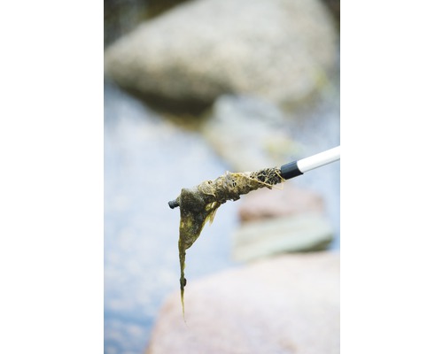 Algen wurden mit einer Greifzange aus dem Wasser entfernt