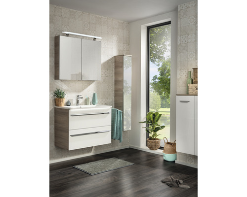 Salle de bains avec lavabo, armoire de toilette, armoire haute, serviette et plantes d''intérieur pour une atmosphère lumineuse et conviviale.
