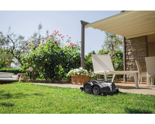 Robot tondeuse dans le jardin