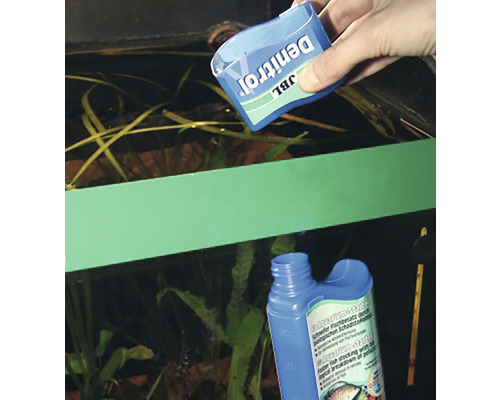 Aquarium avec démarreur de bactéries JBL Denitrol