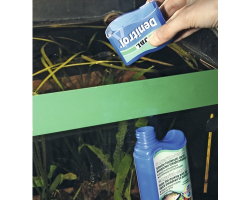 Application de JBL Denitrol Aquarium Starter pour l''élimination biologique des polluants dans l''aquarium.