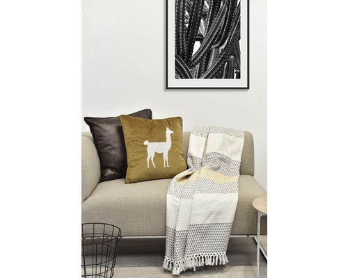 Scène avec un canapé, des coussins, une couverture et une photo de cactus encadrée au mur.