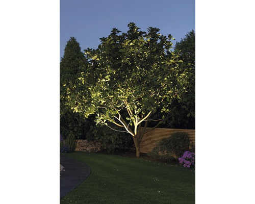 Beleuchteter Baum im Garten in der Dämmerung.