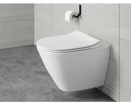 WC suspendu avec porte-papier hygiénique dans une salle de bain