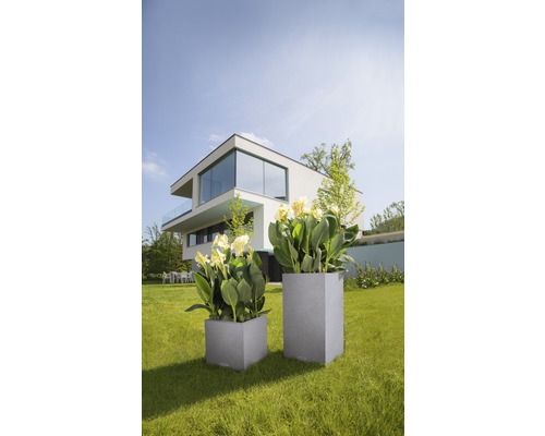 Deux bacs à fleurs gris avec des fleurs dans le jardin devant une maison