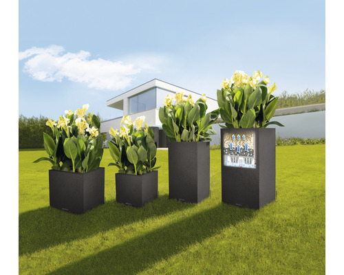 Quatre bacs à fleurs carrés en plastique avec des plantes dans le jardin