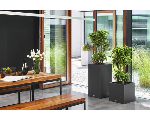 Aménagement intérieur lumineux avec table en bois, bancs et bacs à plantes