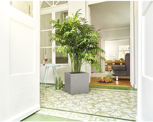 Innenraumszene mit Zimmerpflanze in einem grauen Blumentopf