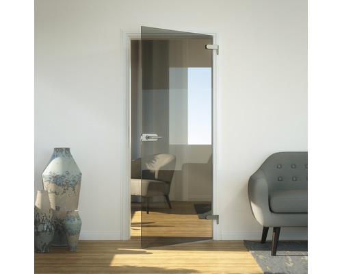 Vue intérieure avec une porte en verre à un vantail avec ferrures et poignée de porte