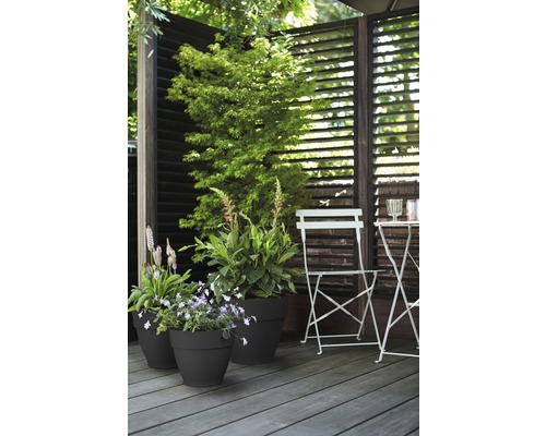 Terrassenszene mit Pflanzkübeln, Sichtschutzwand und Gartenmöbeln