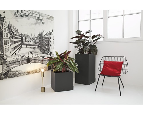 Scène d''intérieur avec deux plantes dans des bacs, une chaise avec coussin, un lampadaire et une peinture murale