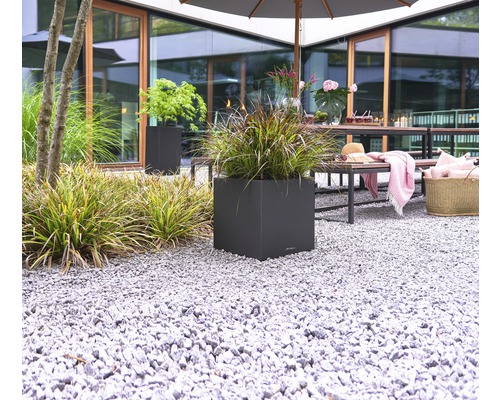 Scène de jardin avec des plantes dans un bac à fleurs carré sur du gravier