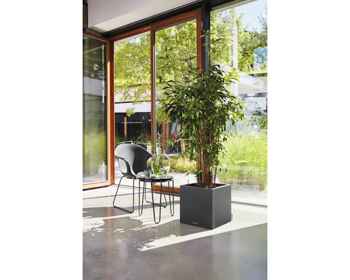 Intérieur lumineux avec plante en pot carré, chaise et table près de la baie vitrée