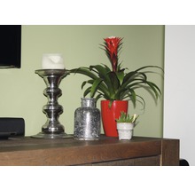 Éléments décoratifs sur une commode en bois : bougeoir, bromélia en pot et un petit vase