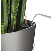 Plante dans un pot avec indicateur de niveau d''eau en cours d''arrosage.