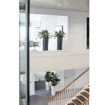 Photo intérieure d''un escalier avec des plantes en pot à différents niveaux.