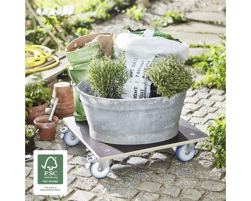 Pflanzen und Zubehör in einer Zinkwanne auf einem Rollbrett im Garten