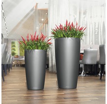Deux grands bacs à plantes avec des plantes sur un plancher en bois.