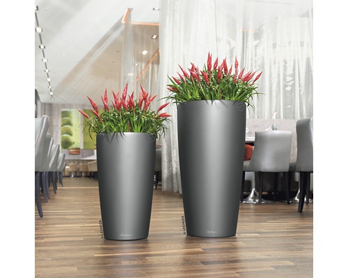 Zwei hohe Pflanzgefäße mit Pflanzen auf einem Holzboden.