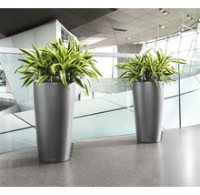 Deux grands bacs à plantes avec des plantes à l''intérieur.