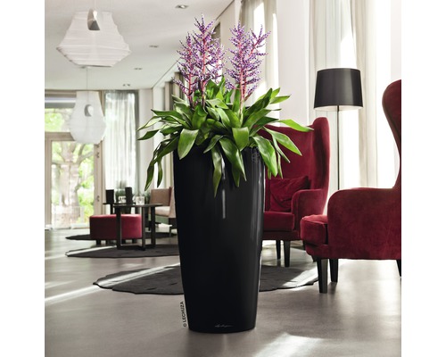 Hoher, schlanker Pflanzkübel mit grüner Pflanze und lila Blüten in einem Wohnzimmer