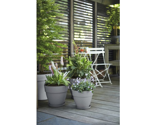 Gartenbereich mit Pflanzen in Töpfen und Sitzgruppe