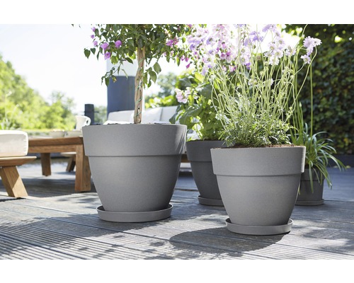 Blumentöpfe mit Pflanzen auf einer Terrasse