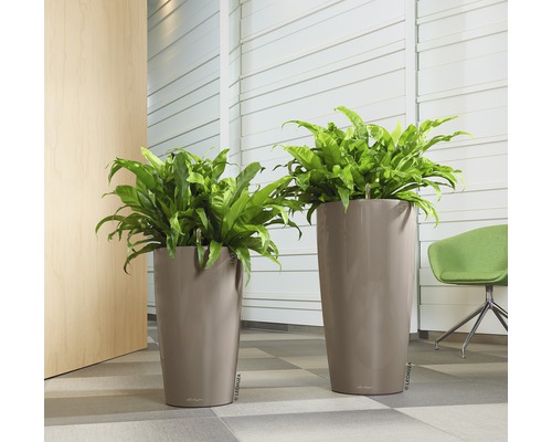 Zwei hohe Pflanzgefäße mit Farnen in einem hellen Raum.