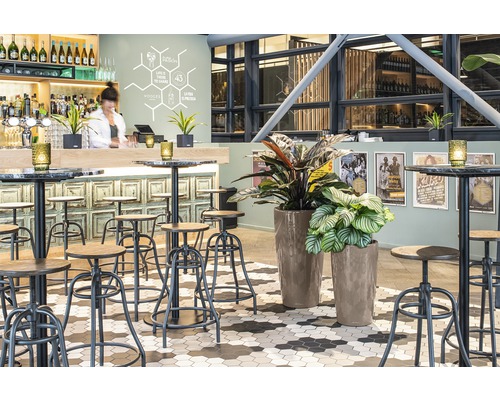 Innenansicht einer Bar mit Hockern, Tischen und Pflanzen