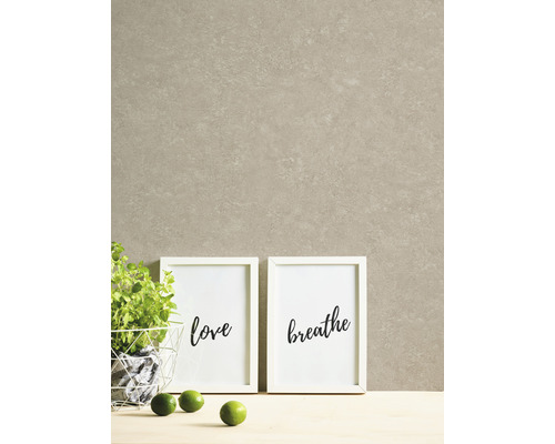 Décoration murale décorative avec deux images, un pot avec une plante et trois citrons verts