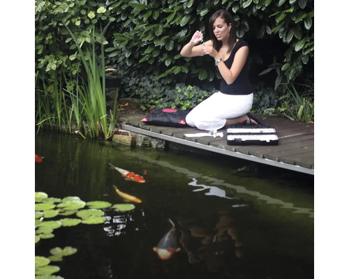 Une femme effectue une analyse de l''eau avec un kit de test sur un pont en bois d''un étang avec des carpes koï.