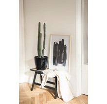 Intérieur décoratif avec cactus dans un pot noir sur un tabouret, complété par une œuvre d''art abstraite encadrée et une veste.