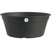 Pflanzschale elho Green Basics Bowl Kunststoff Ø 33 H 14 cm schwarz -  HORNBACH Luxemburg