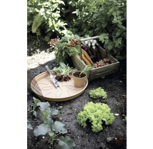 Soucoupe Elho Green Basic plastique Ø 41 cm terracotta