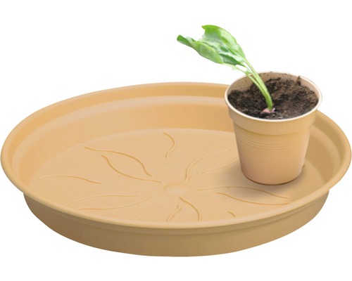 Soucoupe de fleurs en plastique avec plante en pot