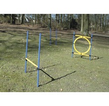 Parcours pour chiens avec obstacles en plein air
