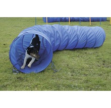 Hond duerchleeft en bloen Agility-Tunnel op enger Wiss
