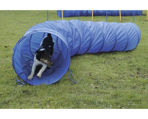 Tunnel Agility taille S